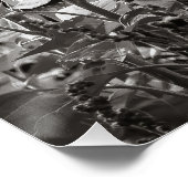 Sonnenblumen Schwarz-Weiß-Kunstfotografie Poster (Ecke)