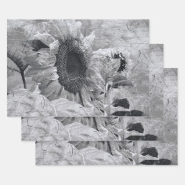 Sonnenblumen Schwarz-Weiß-Vintages Land Blüte Geschenkpapier Set