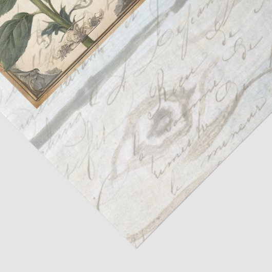 Sonnenblumen Script Ephemera Rustic Wood Decoupage Seidenpapier (Ausschnitt)