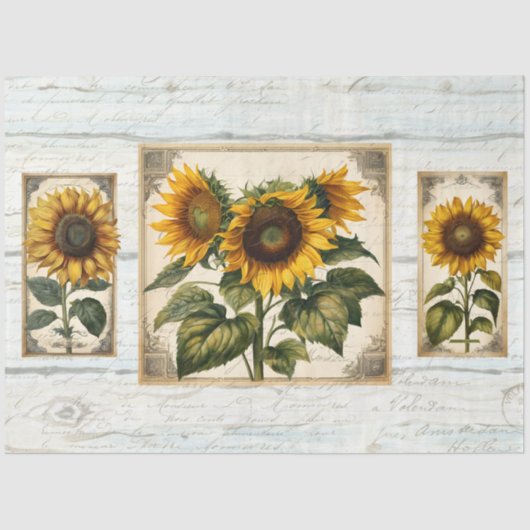 Sonnenblumen Script Ephemera Rustic Wood Decoupage Seidenpapier (Vorderseite)