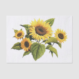 Sonnenblumen Seidenpapier