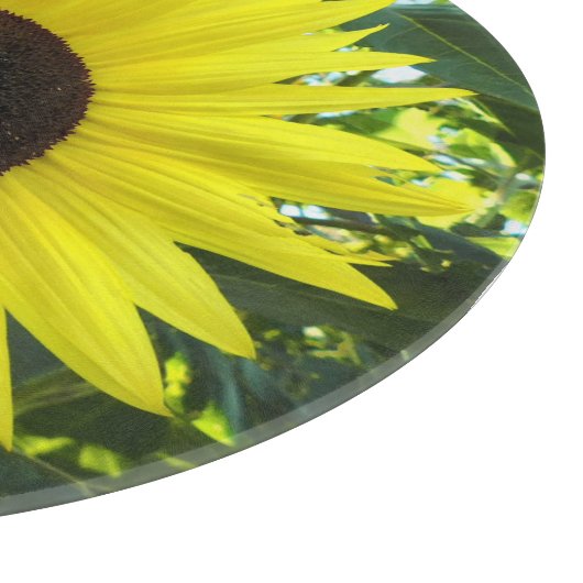 Sonnenblumen Sensations Glass Cutting Board Schneidebrett (Ecke)