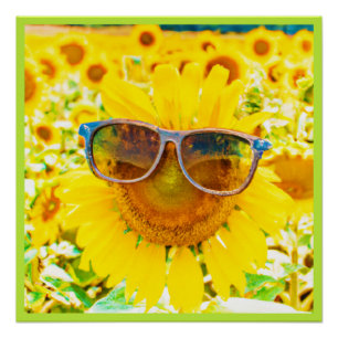 Sonnenblumen-Shades Chic Poster
