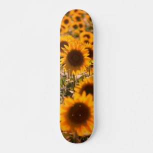 Sonnenblumen Skateboard