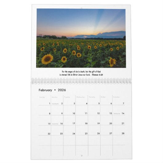 Sonnenblumen & Skizzen Kalender (Feb 2026)
