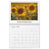 Sonnenblumen & Skizzen Kalender (Jan 2027)