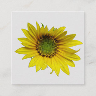 Sonnenblumen-Solo-Karte Begleitkarte