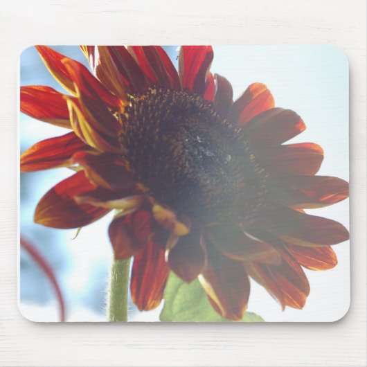 Sonnenblumen Sommer Mousepad (Vorne)