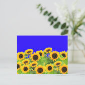 Sonnenblumen Sommer Postkarten (Stehend Vorderseite)