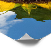 Sonnenblumen Sommerspass Poster (Ecke)