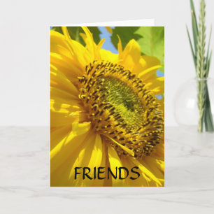 SONNENBLUMEN SONNEN BLUMEN GRUßKARTEN NOTIZKARTE KARTE