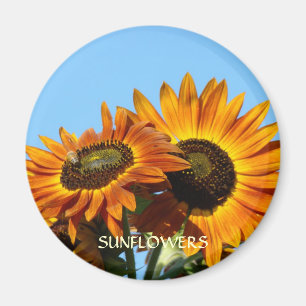 SONNENBLUMEN SONNENBLUME MAGNET MAGNETE Geschenke