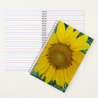 Sonnenblumen - Sonnenblumen-Foto-Notebook Notizblock