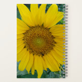 Sonnenblumen - Sonnenblumen-Foto-Notebook Notizblock (Rückseite)