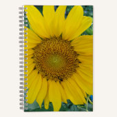 Sonnenblumen - Sonnenblumen-Foto-Notebook Notizblock (Vorderseite)