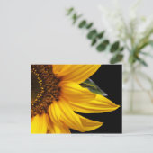 Sonnenblumen - Sonnenblumen - Maßgeschneiderte Vor Postkarte (Stehend Vorderseite)