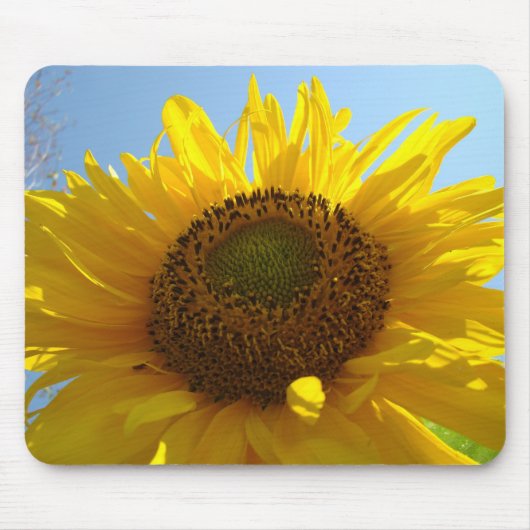 SONNENBLUMEN, SONNENMOUSPADS, SONNENBLUME MOUSEPAD (Vorne)