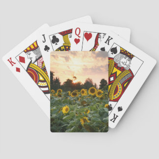 Sonnenblumen Spielkarten