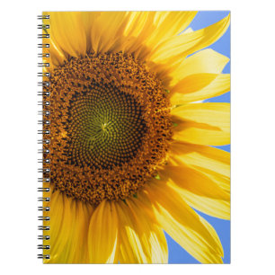 Sonnenblumen-SpiralNotebook Notizblock