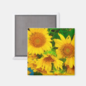 Sonnenblumen Stadtmarkt KC Farmer's Market Magnet (Vorderseite/Rückseite)