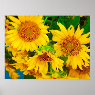 Sonnenblumen Stadtmarkt KC Farmer's Market Poster