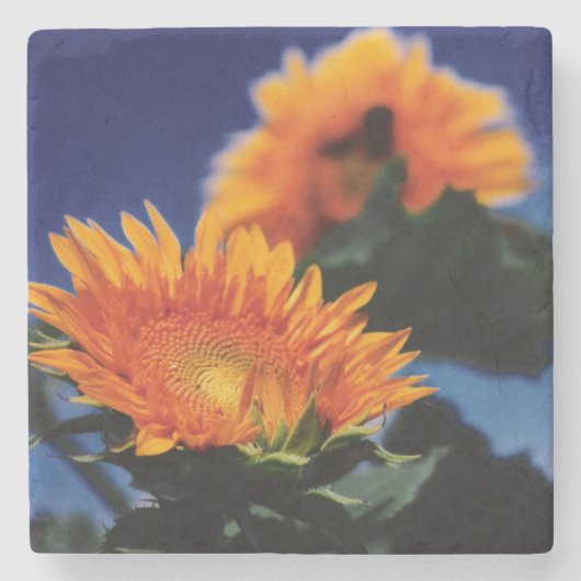 Sonnenblumen Steinuntersetzer (Vorderseite)