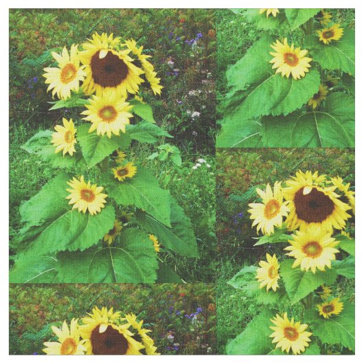 SONNENBLUMEN STOFF (Nahaufnahme)