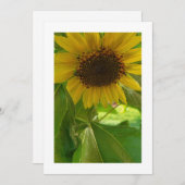 Sonnenblumen-Strahlung: individuelle Einladung (Vorne/Hinten)