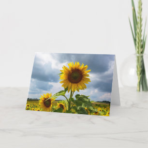 Sonnenblumen-Sturm-Leer-Notizkarte Dankeskarte