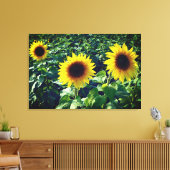 Sonnenblumen Trio Wrapped Canvas Print Leinwanddruck (Insitu (Wohnzimmer))