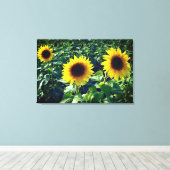 Sonnenblumen Trio Wrapped Canvas Print Leinwanddruck (Insitu (Holzboden))