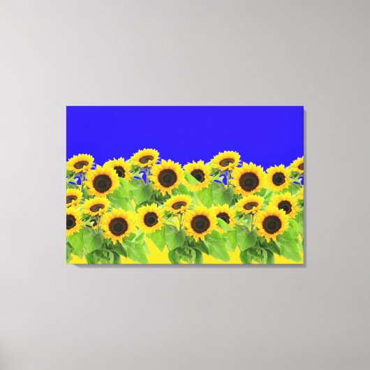 Sonnenblumen - ukrainische Flagge Friedensfreiheit Leinwanddruck (Vorderseite)