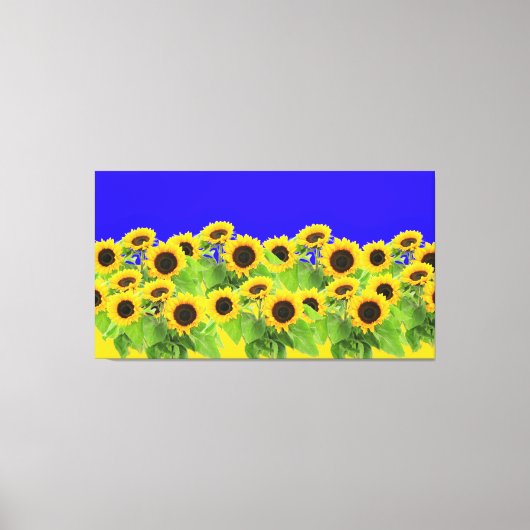 Sonnenblumen - ukrainische Flagge Friedensfreiheit Leinwanddruck (Vorderseite)
