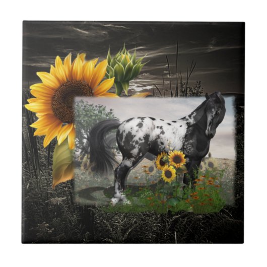 Sonnenblumen und Appaloosa Pferd Fliese (Vorderseite)