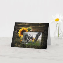 Sonnenblumen und Appaloosa Pferd