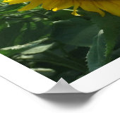 Sonnenblumen und Berge Poster (Ecke)