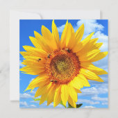 Sonnenblumen und Bienenkarte Karte (Vorderseite)
