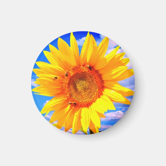 Sonnenblumen und Bienenmagazin Magnet (Vorne)