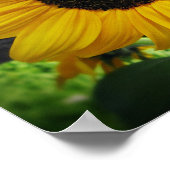 Sonnenblumen und Bienenposter Kunst Poster (Ecke)