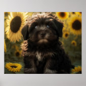 Sonnenblumen und Chocolate Havanese Puppy von Hava Poster (Vorne)