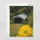 Sonnenblumen und Deckbrücke Postkarte (Vorne/Hinten)
