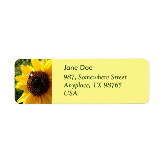 Sonnenblumen und Honigbienen (Vorne)