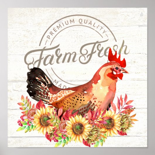 Sonnenblumen und Hühnerfarm frisch Poster (Vorne)