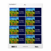 SONNENBLUMEN UND LÄNDER IN DER Toskana (Vorne)