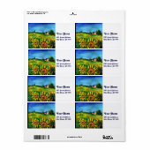 SONNENBLUMEN UND LÄNDER IN DER Toskana (Vorne)