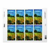 SONNENBLUMEN UND LÄNDER IN DER Toskana (Vorne)