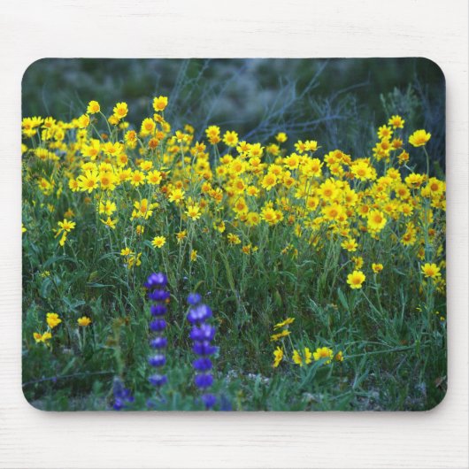 Sonnenblumen und Lavendel Mousepad (Vorne)