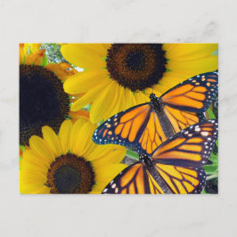 Sonnenblumen und Monarchschmetterlinge Postkarte