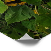 Sonnenblumen und Morgenglorikfotografie hinzufügen Poster (Ecke)