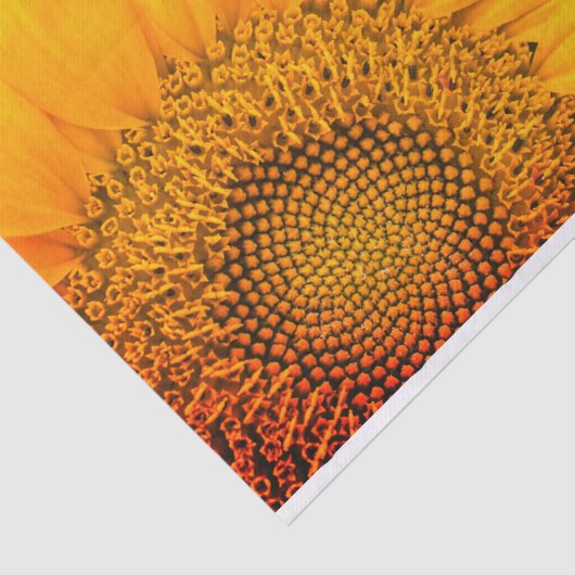 Sonnenblumen und Polka Dots Geschenkpapier Seidenpapier (Ausschnitt)